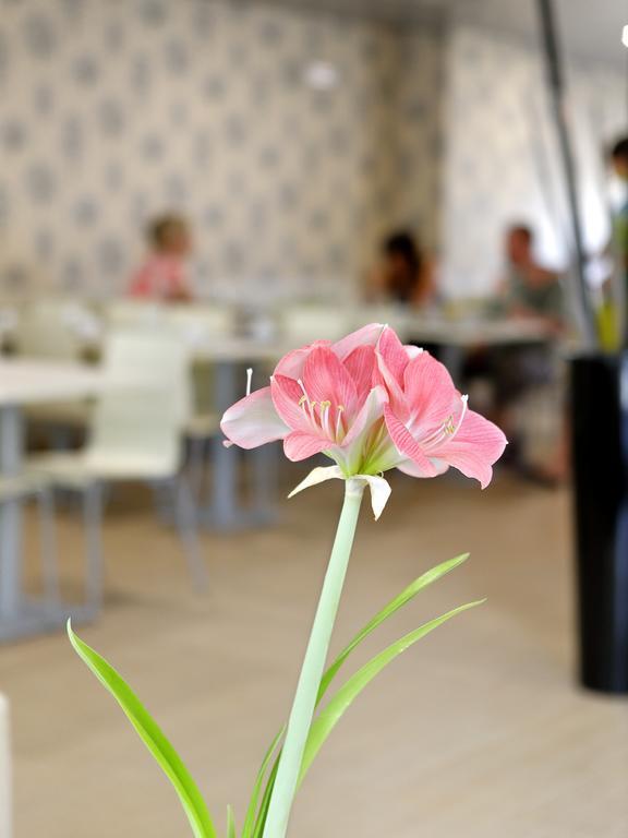 Cova Da Iria Hotel Φάτιμα Εξωτερικό φωτογραφία