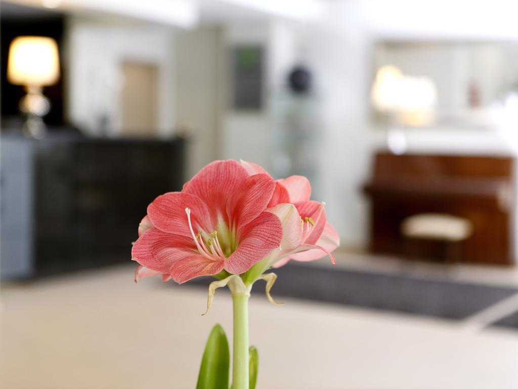 Cova Da Iria Hotel Φάτιμα Εξωτερικό φωτογραφία